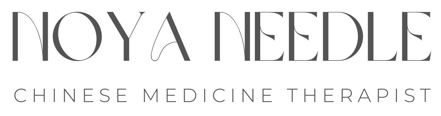Noy Needle Logo